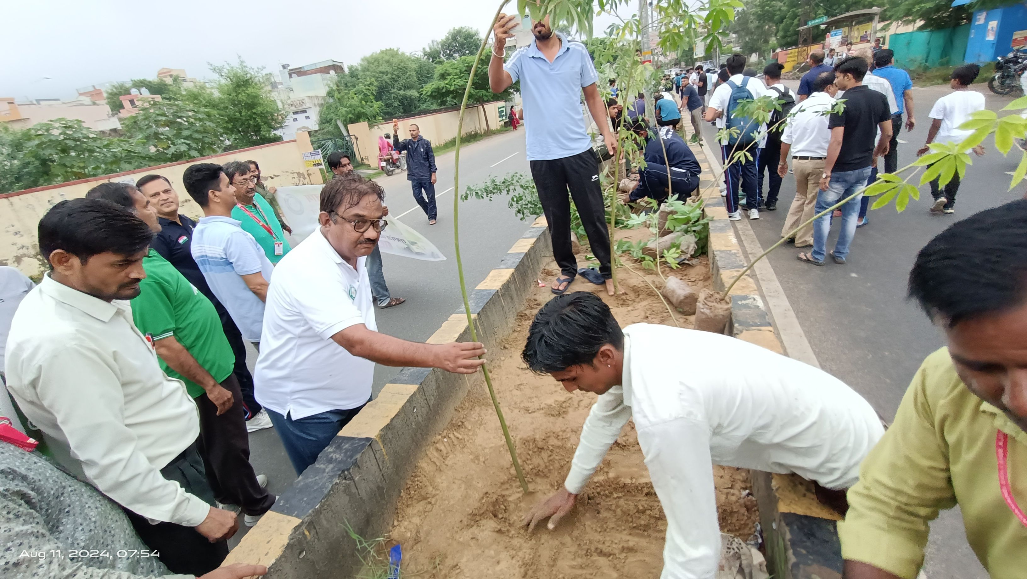 सघन वृक्षारोपण अभियान